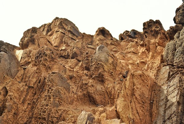 Découvrez la formation professionnelle avec efe formation